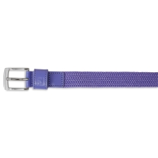 Violet (69493)